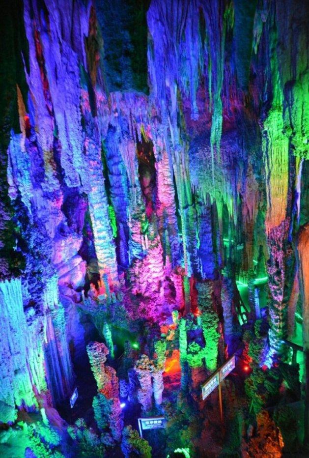 发生了什么?美生物安全法案业内流传,CXO龙头药明康德闪崩跌停