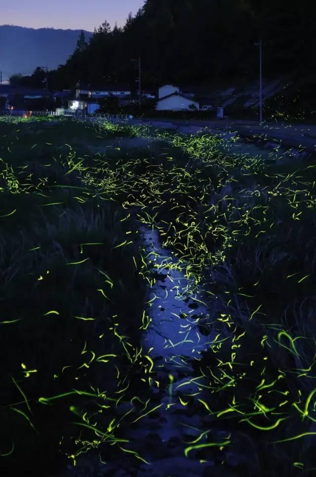 罗马诺:多队想签布莱斯维特,若西班牙人升级今夏可自由离队