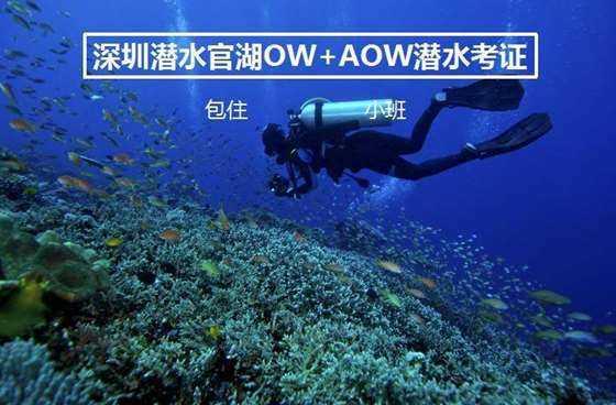 见证者