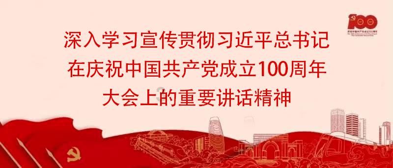 英国王室爱德华王子出访南非,代表王室参加公务,婚后自愿成为一位伯爵