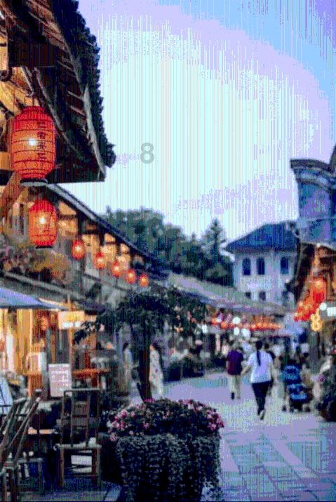 动物帮帮忙保卫家园